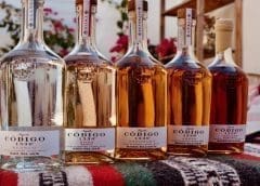 Thumbnail for Pernod Ricard acquires majority stake in ultra-premium tequila Código 1530, boosting North America presence