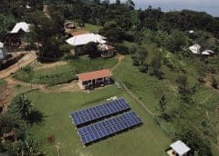 Thumbnail for Angola’s poultry production expected to rise by 17% in 2023 on improved economic environment