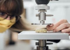 Thumbnail for Gourmey raises US$46.69m in world’s largest Series A round for a cultivated meat startup
