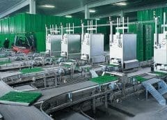 Thumbnail for Reusable packaging maker IFCO opens new service hub in Morocco to drive export of sustainable fresh produce