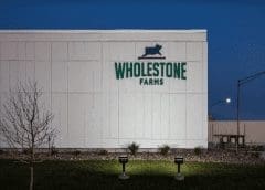 Thumbnail for Wholestone Farms halts US$500m pork plant project after court rules in favor of Smart Growth Sioux Falls group