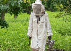 Thumbnail for Burundian agro-pastoralists to benefit from US$23.26m project undertaken in partnership with AfDB