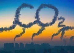 Thumbnail for Kenya based Tamuwa to commence trading on Africa’s first emission reduction platform dubbed CYNK
