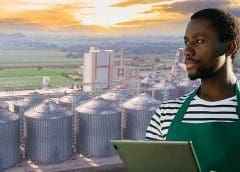 Thumbnail for AfDB launches US$520m Special Agro-Industrial Processing Zones in Nigeria with support from IFAD, Isdb