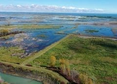 Thumbnail for <strong>Cargill restores more than 5 billion liters of water as part of ambitious 2030 ESG goals</strong>
