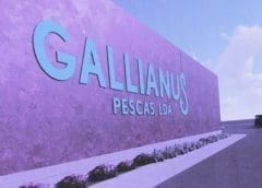 Thumbnail for Gallianus Pesca Fishery launches in Angola in line with government’s drive to boost growth of fisheries sector