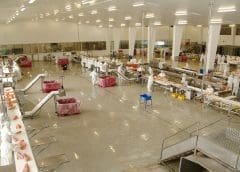 Thumbnail for Turkish investors to start a new fish processing company in Gabon