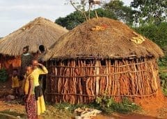 Thumbnail for <strong>African Development Fund combats harsh climatic conditions in Ethiopia with US$13.95m grant</strong>