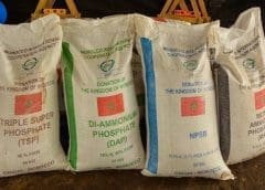 Thumbnail for Africa to benefit from US$760M US commitment to expand and strengthen agricultural programs globally