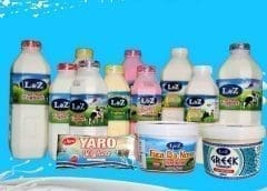 Thumbnail for <strong>Nigerian dairy company L&Z marks end of 7-year growth partnership with Sahel Capital</strong>