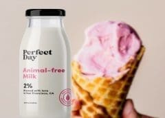 Thumbnail for Nestlé partners with Perfect Day to produce animal-free dairy beverages