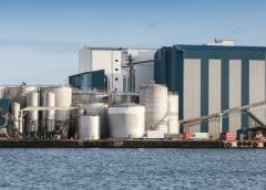 Thumbnail for New US$1.12M fish feed factory to be built in Rwanda to cut feed importation