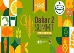 Thumbnail for 72% of all agricultural products traded within Africa have undergone a partial or total transformation: ATOR report