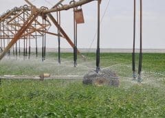 Thumbnail for Kenya commits US$3.1billion to finance irrigation projects across the country in four years