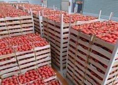 Thumbnail for Serengeti Breweries loses US$0.43m appeal against sales partner Break Point Outdoor Catering Limited