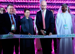 Thumbnail for AeroFarms inaugurates world’s largest R&D indoor vertical farm in Abu Dhabi