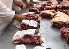 Thumbnail for Brazil suspends export of beef to china on account of mad cow disease