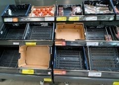 Thumbnail for UK faces acute shortage of some fruits and vegetables, supermarkets limit quantity purchase