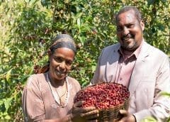 Thumbnail for 22 African countries dominate top fifty coffee producers globally led by Ethiopia: World Population Review report of 2023