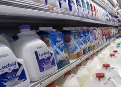 Thumbnail for Study questions the suitability of cartons as primary packages for milk