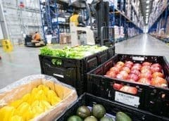 Thumbnail for South Africa’s perishable produce exports surged by 8% in 2022 amid challenging environment