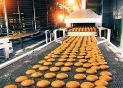 Thumbnail for Ugandan food processing sector secures US$1.5m government aid to enhance technical and operational capacity