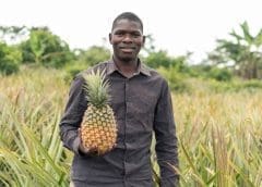 Thumbnail for Uganda debuts several digital agricultural platforms to entice youths into farming