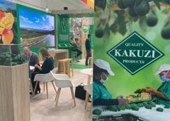Thumbnail for Kakuzi posts 62% profit surge for Full Year 2022