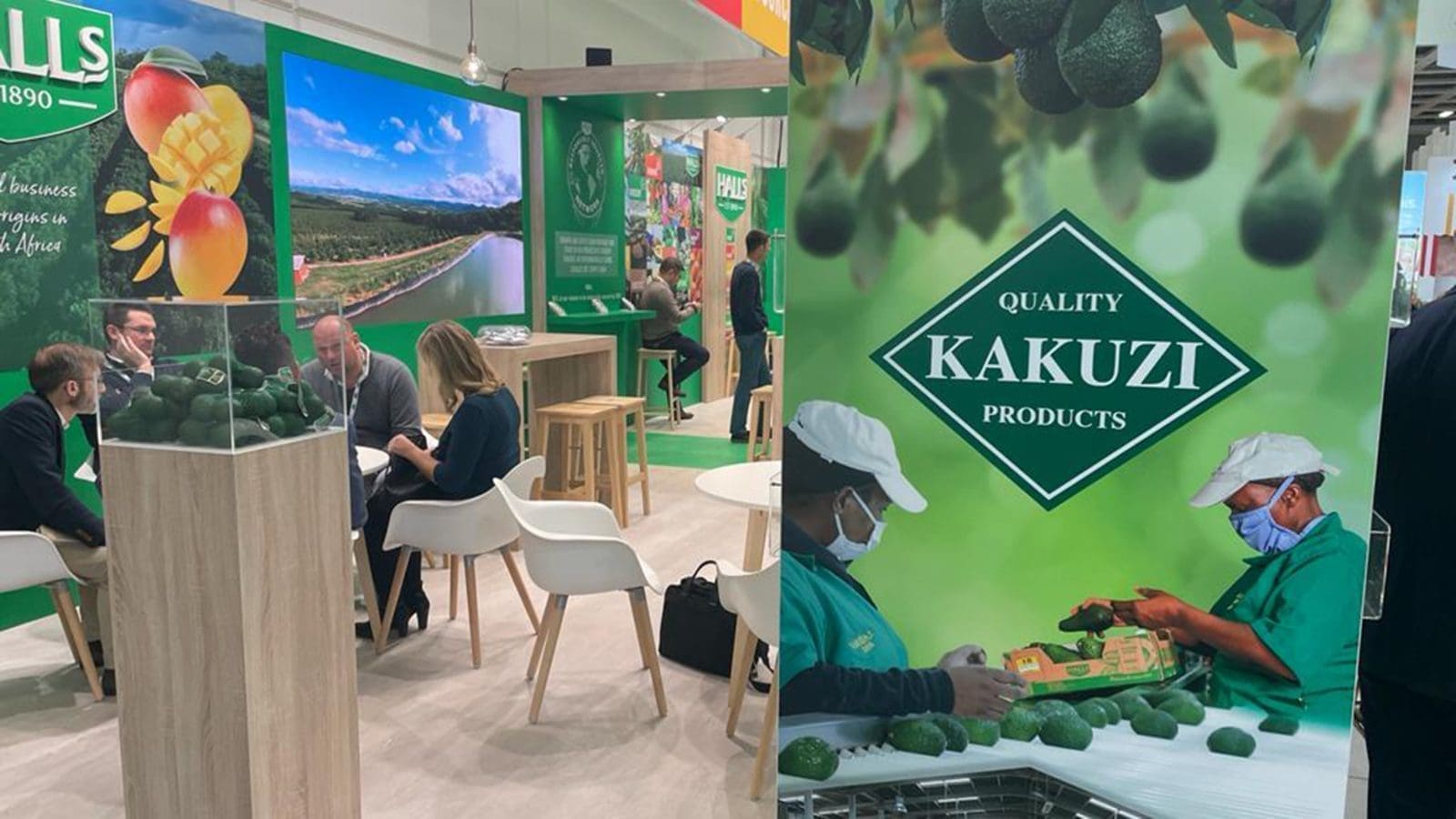 Thumbnail for Kakuzi posts 62% profit surge for Full Year 2022