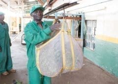 Thumbnail for Tea Board of Kenya faults tea factories for manipulating weighing scales