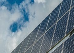 Thumbnail for Tingo Foods to power its US$1.6bn food processing facility using solar energy