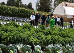 Thumbnail for Syngenta opens Kenya’s first Crop Protection Development center in Kiambu