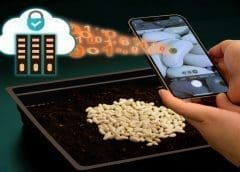 Thumbnail for MIT develops silk-based unclonable tags to carry unique signatures for seeds