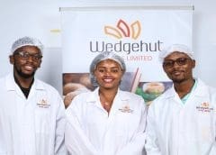 Thumbnail for Wedgehut Foods removes the hassle from art of making French fries