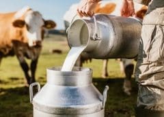 Thumbnail for Tanzania to revamp ailing Njombe Milk Factory Company