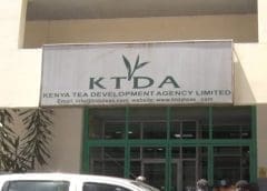 Thumbnail for KTDA sets up new specialty tea factory in Kiambu