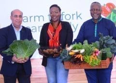 Thumbnail for SC Ventures unveils new online agritech marketplace for Kenyan smallholder farmers