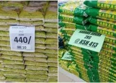 Thumbnail for Kenya to import 180,000 more metric tons of sugar to curb surging prices