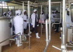 Thumbnail for Uganda banks on milk ATMs to boost local milk consumption