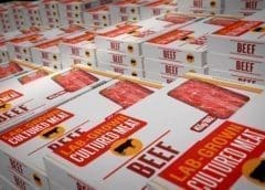 Thumbnail for WHO, FAO  settle for “cell-based food” as universal name for meat grown in the lab