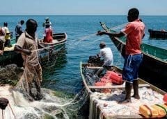 Thumbnail for Kenya unveils 12 fish farming projects worth US$212.5m to boost production
