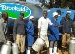 Thumbnail for Brookside lays off half its Ugandan staff due to export restrictions