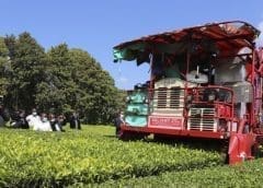 Thumbnail for Ekaterra Tea Company resumes operations in Bomet, Kericho counties