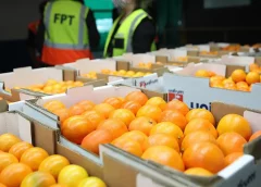 Thumbnail for Tanzania signs pact with Netherlands to adopt e-phytosanitary certification system