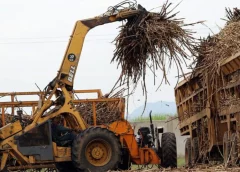 Thumbnail for Tanzania signs pact with Netherlands to adopt e-phytosanitary certification system