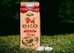Thumbnail for Arla Foods, Blue Ocean Closures join forces to develop fibre-based caps for carton milk packs