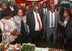 Thumbnail for Kenyan lawmakers accuse Agriculture and Food Authority of illegal operations