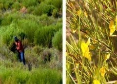 Thumbnail for New Agriculture Insurance Consortium launched in Tanzania