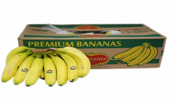 Thumbnail for Fresh Del Monte revs up operations into Germany to take advantage of high banana demand