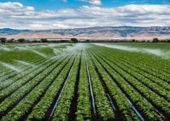 Thumbnail for Rwanda to commission Gabiro Agribusiness Hub in Q4
